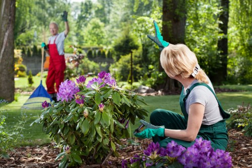 Professional tree lopping service in Chigwell