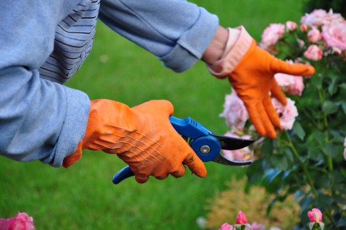 Seasonal hedge maintenance in a garden