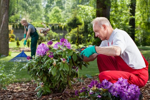 Eco-friendly lawn mowing practices in Chigwell