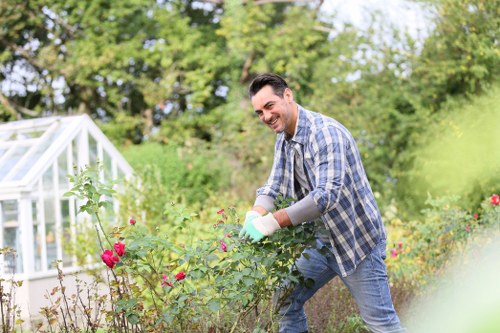 Professional hedge trimming equipment
