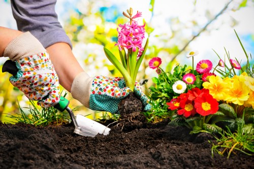 Chigwell garden showcasing fertile loamy soil and diverse plant life