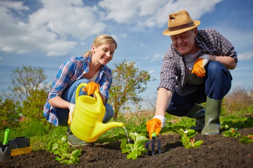 Seasonal garden care activities in Chigwell with blooming plants