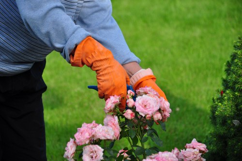 Chigwell residential landscape design