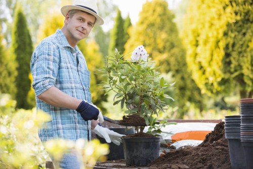 Clean and organized garden post-clearance