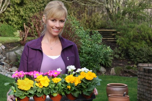 Lush, thriving garden showcasing Gardening Chigwell's expertise