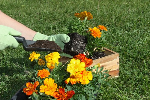 Sustainable garden practices in a lush Chigwell landscape