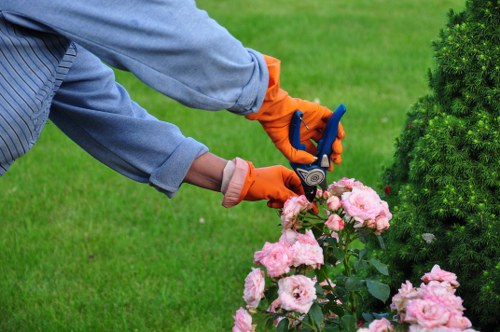 Tree removal equipment used in Chigwell
