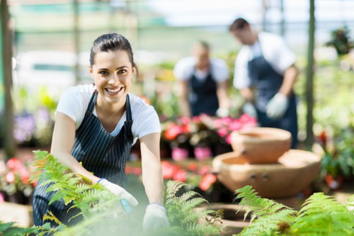 Selecting the right mower for a Chigwell lawn